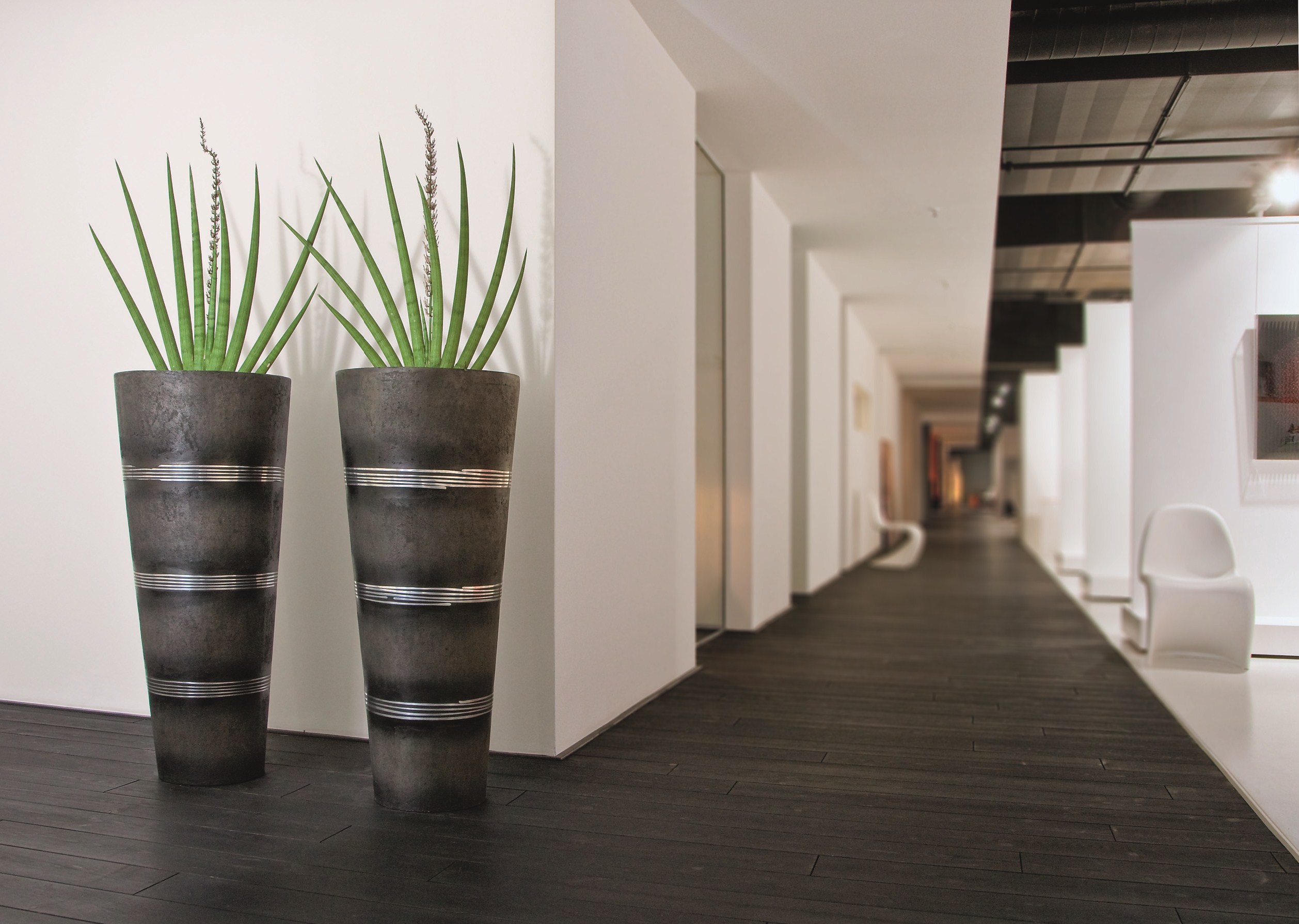 Cosmos Polystone Pflanzkübel | Die - Palme • Palmenmarkt